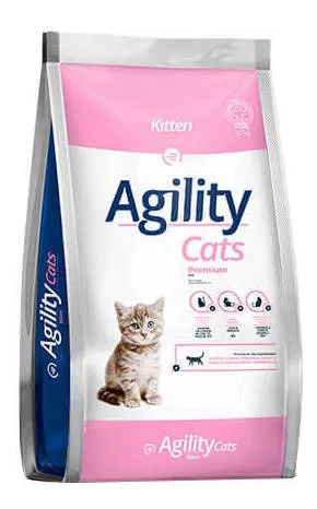 agility-cats-kitten