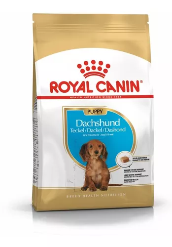 royal-canin-dachshund-puppy