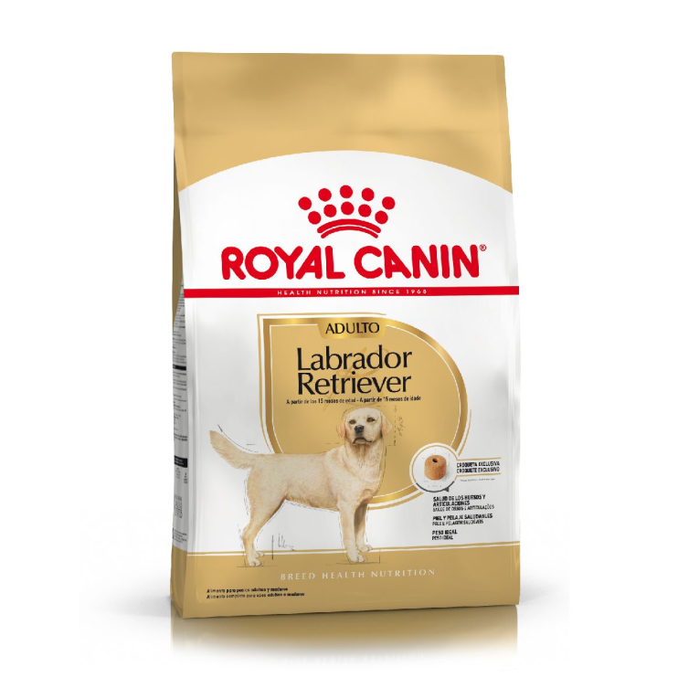royal-canin-labrador-retriever